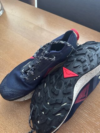 Zapatillas Nike Pegasus Trail 3 Gore-Tex 42.5