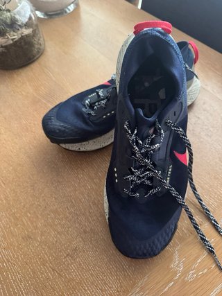 Zapatillas Nike Pegasus Trail 3 Gore-Tex 42.5
