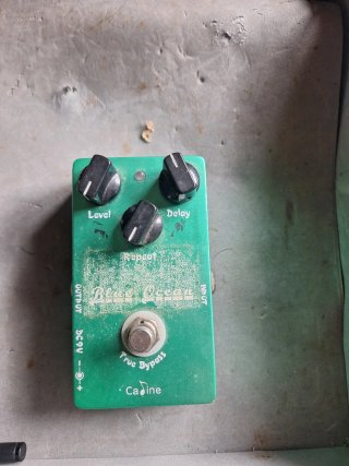 Caline Blue Ocean Delay