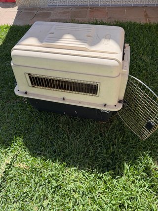 Transportín para perro ( border collie)