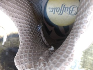 Sneakers Buffalo donna beige/bianche