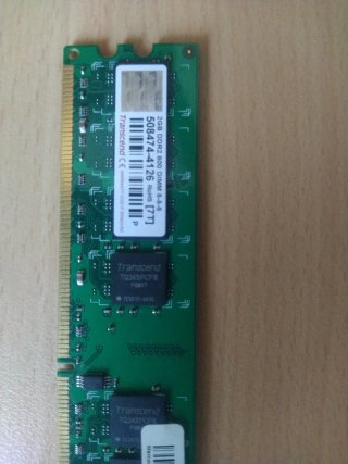 Memoria RAM Transcend DDR2 2GB