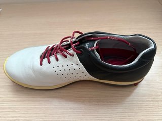Zapatos Ecco Golf Piel Spikeless