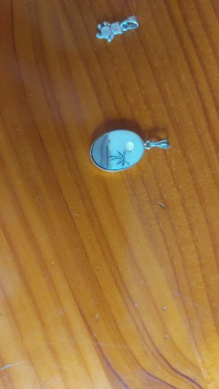 Lote Colgantes y cadenas varios Plata