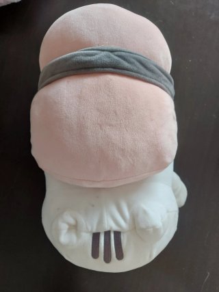 Peluche Gato Miniso Suave