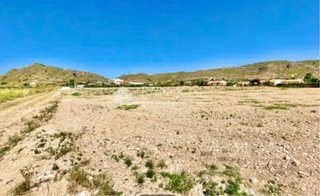 Parcela en El Salado-Abanilla (Murcia)