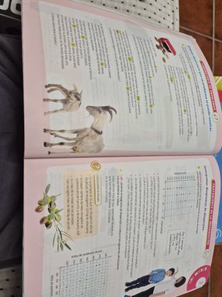 Matemáticas 6 Primaria