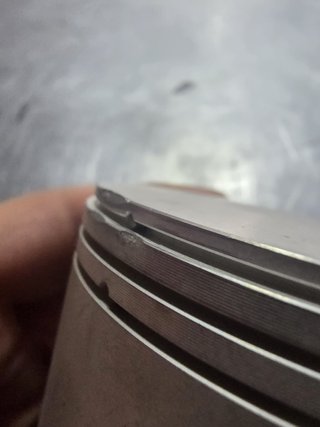 Pistón y segmentos Honda Cota 315 R