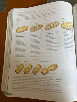 Biología, Geología y Ciencias Ambientales. 1 Ba...