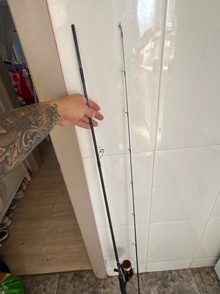 Caña Daiwa Emeraldas 2pcs