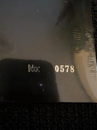 Placebo - Re:Created Picture Disc Numerato