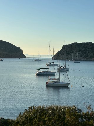 Velero Puma 23
