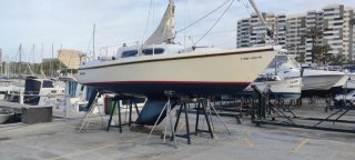 Velero Puma 23