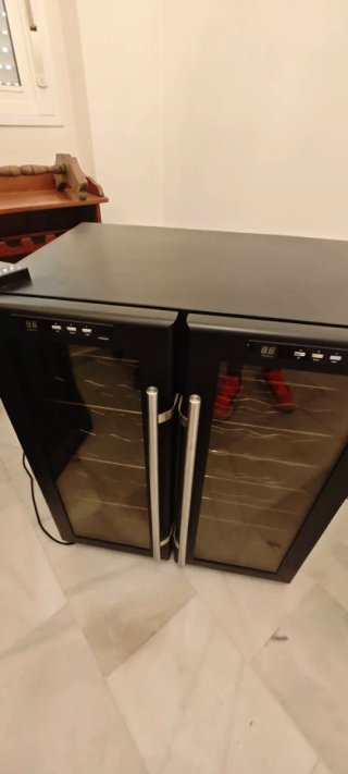 Vinoteca doble temperatura falta carga de gas