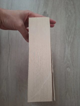 Libro La mujer de blanco