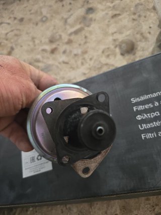 Válvula EGR Delphi BMW X3 E83
