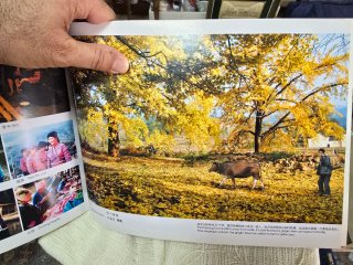 Libro Guilin's Landscape China