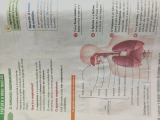 Ciencias da natureza, 4 Educación Primaria