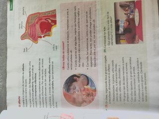 Ciencias da natureza, 4 Educación Primaria