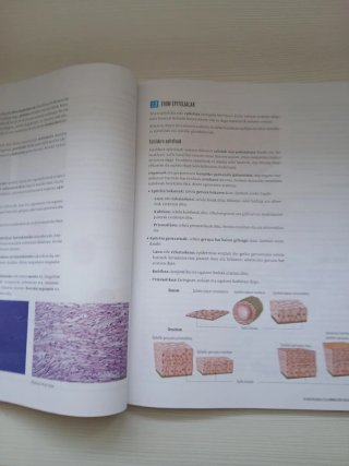 Biologia, Geologia eta Ingurumen Zientziak, Bat...