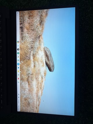 Portátil Asus Chromebook Gris
