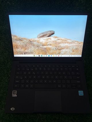 Portátil Asus Chromebook Gris