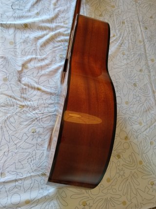 Guitarra admira Málaga