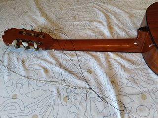 Guitarra admira Málaga