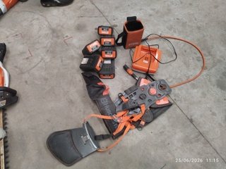 Lote profesional STIHL AP batería