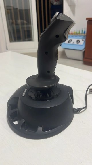 Microsoft Joystick