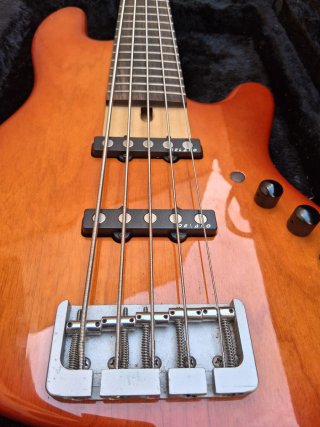 Bajo Elrick EXPAT NJS 5 Americano