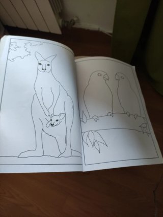 Libro mágico