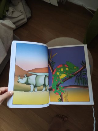 Libro mágico