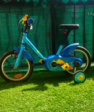 Bicicleta infantil negra y verde