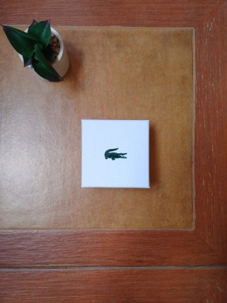 Pulsera Lacoste Plateada Hombre