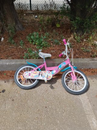 Bicicleta Niña Rosa