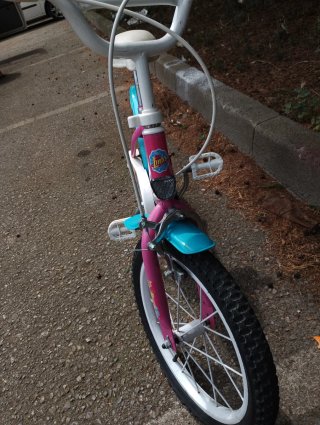 Bicicleta Niña Rosa
