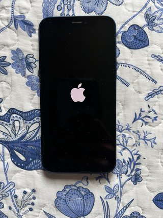 iPhone 12 mini blu