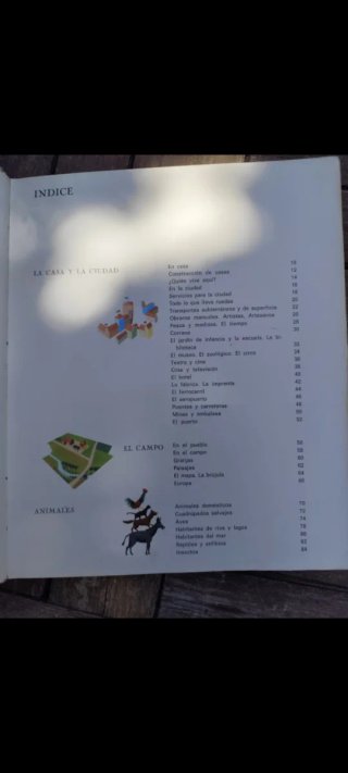 DICCIONARIO INFANTIL ILUSTRADO