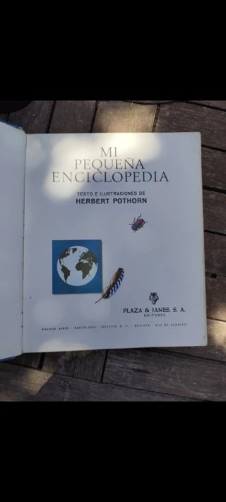 DICCIONARIO INFANTIL ILUSTRADO