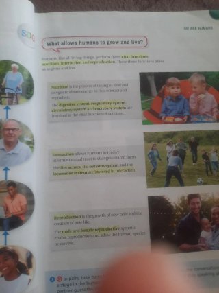 Natural Science, 5 Primary, Outside the Box, ByMe