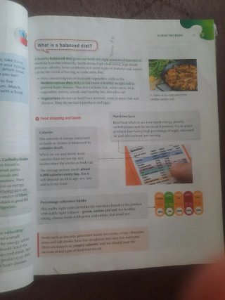 Natural Science, 5 Primary, Outside the Box, ByMe