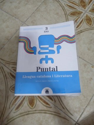 Puntal 3. Llengua catalana i Literatura 3 ESO