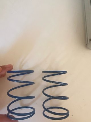 Muelles Contraste Polini