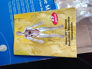 Kit Anatomía Humana Visible Masculina