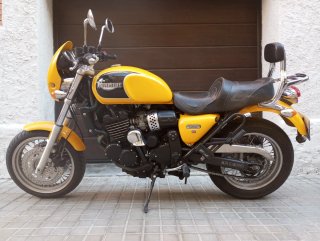 Triumph Naked Amarilla Manual