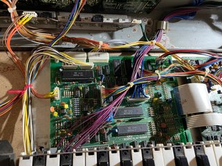 Sintetizador Korg Poly-61