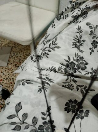 Cadena con dos placas
