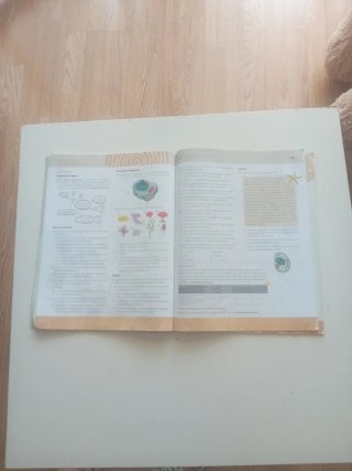 Biología y Geología 1 ESO