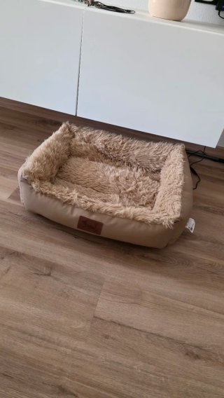 Arenero para gatos y parque